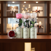 HFloral Saint Valentin Cadeau Fleur Éternelle Rose Préservée Avec Tige Vraie Fleur Préservée Roses d'Austin Pour Fleuriste