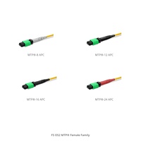 MPO-16 APC (F) ke MPO-16 APC (F), 16 Serat, OS2, Taye B, Dual Rated (OFNR/LSZH), 0.35dB Maks, Panjang Kustom Jumper MPO