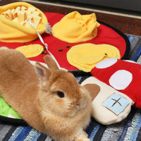 Tapis de Sniffing Interactif Anti-Dérapant pour Chiens et Lapins, Distributeur de Friandises à Alimentation Lente, Lavable, en Forme de Champignon, Jouet Puzzle pour Animaux de Compagnie, Soulagement de l'Anxiété