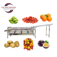 Fruit sorteermachine voor granaatappels, kersentomaten & groenten - sorteerlijn voor fruitverwerkingsbedrijven