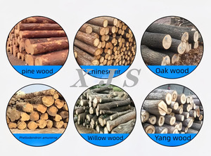 Piccolo Taglialegna Domestico/Utensile Elettrico per Taglio Legna Abbattitore di Tronchi in Vendita - Product Image 6