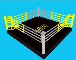 Anneau de combat MMA en acier lourd anneau d'entraînement de compétition anneau de <span class=keywords><strong>boxe</strong></span> - Product Image 5