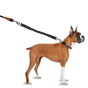 Laisse pour chien robuste en nylon élastique avec coutures réfléchissantes, corde de promenade pour grand chien, corde de traction extensible, couture haute densité durable - Product Image 3