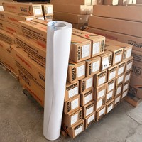Vinilo Autoadhesivo Monomérico de PVC Transparente Brillante y Mate, Imprimible con Tinta Eco-Solvente, Resistente a los Rayos UV, para Decoración de Ventanas