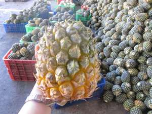 ANANAS EN CONSERVE DE HAUTE QUALITÉ AVEC LE PRIX BON MARCHÉ DU VENDEUR FIABLE/Mme. Lily - Product Image 6
