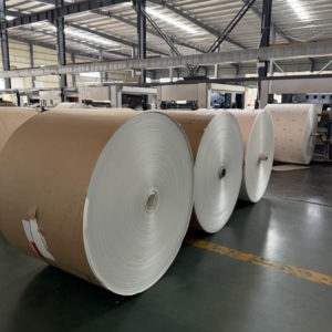 Rouleau de papier enduit de PE de haute qualité, qualité alimentaire, simple face, anti-fuite, taille personnalisée pour l'emballage de plats à emporter (fast-food) en usine - Product Image 1