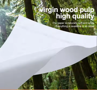 Vente en gros Mini portefeuille en pâte de bois vierge 3 plis personnalisé Papier de soie de poche Mouchoirs en papier publicitaires