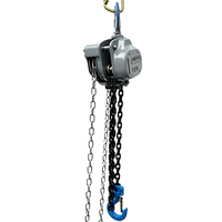 Palans à chaîne manuels de 1 tonne et 6 m, capacité de levage de 1000 kg, chaîne G80 pour atelier, garage