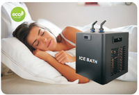Refroidisseur d'eau de chauffage à double filtre Compresseur de désinfection à l'ozone Refroidisseur d'eau plongeant dans la glace Aquarium Fish Tank