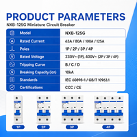 Disjoncteur miniature polyvalent NXB-125G Type C 2P 63A 80A 100A 125A avec protection contre les courts-circuits pour armoires de commande