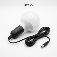 Ampoule LED 12V pour usage extérieur avec câble de 2,8 m ou 5 m, prise DC5521, interrupteur marche/arrêt, crochet métallique, CRI 80, 3000K/6500K, forme globe