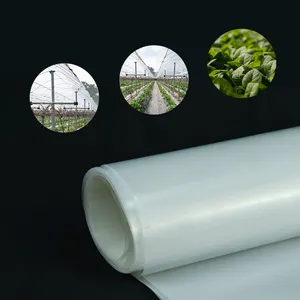 Hot Sale Factory Direct 0.5m-14m Uv Protection Greenhouse Film For Garden