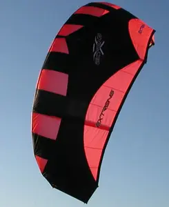 Quad linhas dublê kite da fábrica kite profissional