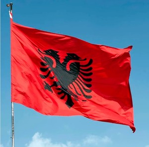 China Manufacturer High Quality 100%Polyester 3x5ft Custom Albania <b>Flag</b> Banner Printing National Albanian <b>Flag</b> - Product Image 2