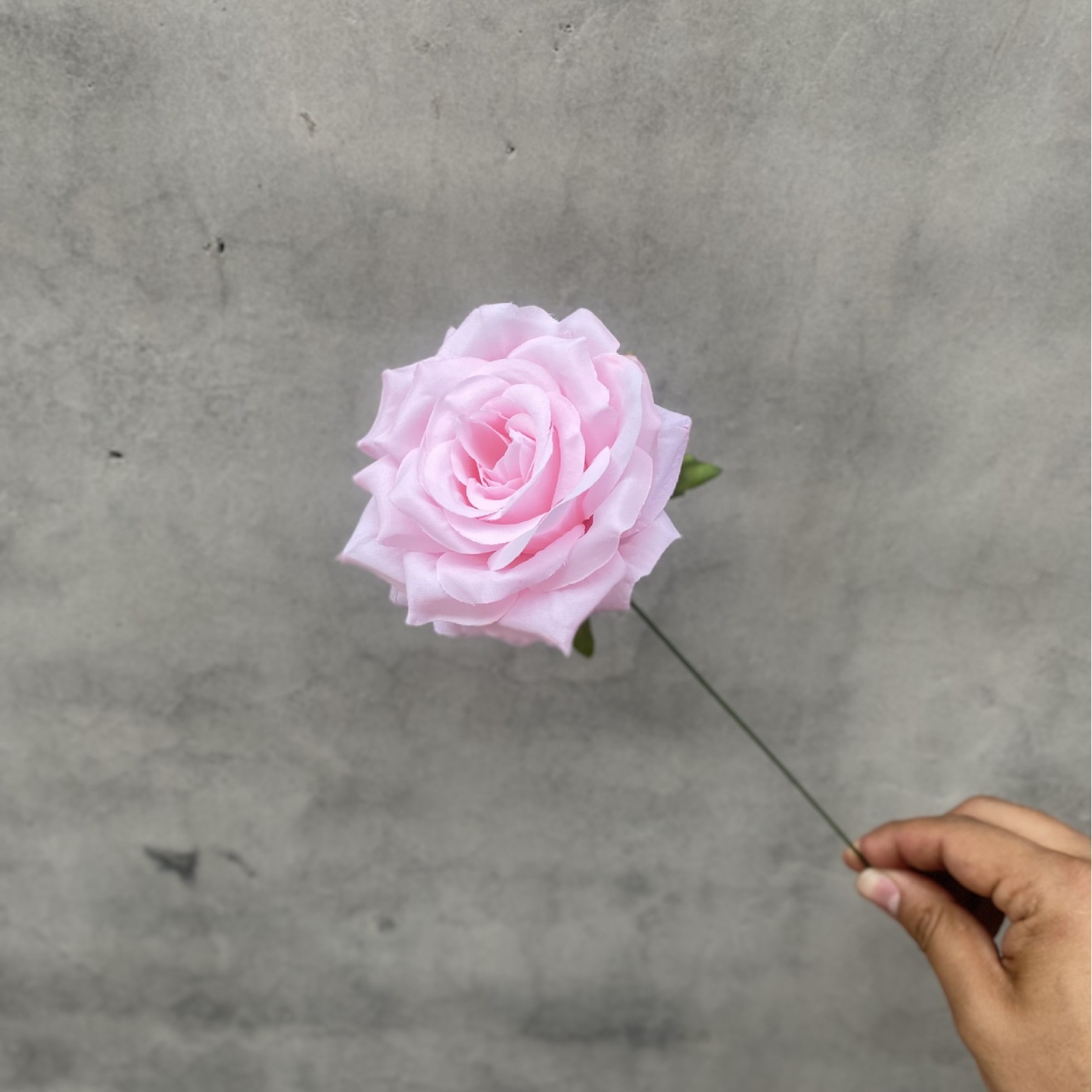 Diamond rose pink (just the flower head)