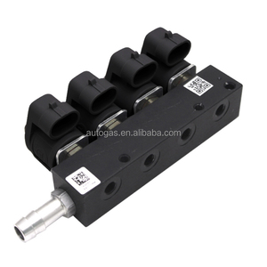 Yiwu Inyector <span class=keywords><strong>Precio</strong></span> de fábrica Nuevo CNG LPG GNV <span class=keywords><strong>GLP</strong></span> LPG Kit de conversión Inyector de inyección secuencial Inyector de combustible de coche de 2 Ohmios - Product Image 1