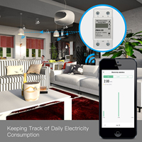 Compteur d'électricité WIFI compteur d'énergie intelligent 5(60)A 110V 230V monophasé Din rail protection contre les surtensions et les courants de sous-tension