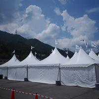 Carpa de Almacenamiento para Eventos, Bodas, Fiestas, Exposiciones, con Estructura de Aluminio Blanco para Exteriores, Techo de PVC, Tipo Gable