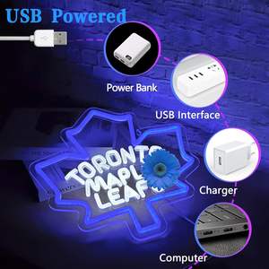 لوحة قيقب ليد لافتة نيون تعمل بمنفذ USB ديكور جداري للفريق الرياضي ديكور جداري لغرفة النوم هدية مثالية لمحبي الهوكي-منظر طبيعي للأولاد - Product Image 3