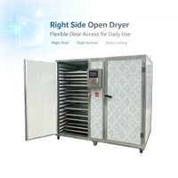 Lichtgewicht dienblad-type dehydrator voor vis, fruit, groenten en het maken van druiven en rozijnen