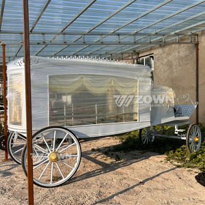 Carro Fúnebre Eléctrico de Alta Calidad con Columnas Romanas para Desfiles Fúnebres - Product Image 5