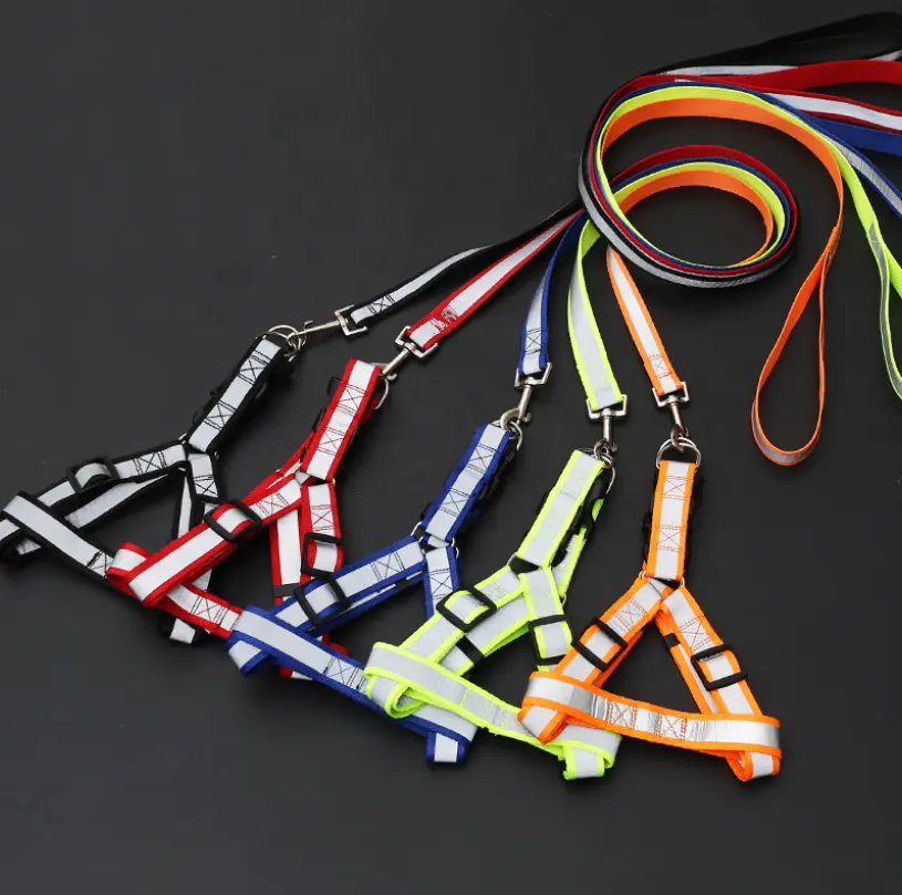 Benutzer definierte Luxus dicke kleine reflektierende Nylons eil Tactical Dog Traction Geflochtene Hunde führen Hunde halsband und Leine Set Pet Supplies