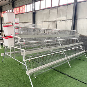 <span class=keywords><strong>Prix</strong></span> ​​bas, élevage <span class=keywords><strong>de</strong></span> volailles, 10 000 oiseaux, poules pondeuses, cage à poules, poulailler à œufs à <span class=keywords><strong>vendre</strong></span> en Afrique du Sud - Product Image 6