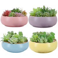 Мини Искусственные суккуленты echeveria atlantis blue rose echeveria imbricata для декоративного сада