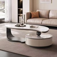 Table basse et meuble TV de luxe au design minimaliste moderne en forme de feuille, irrégulière, pour salon
