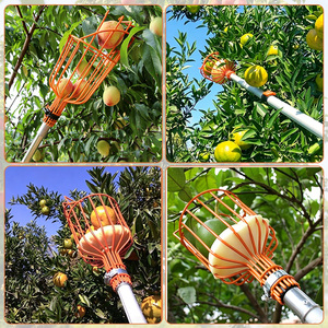 Cueilleur de fruits télescopique professionnel réglable pour pommes, mangues et jardins - Product Image 2