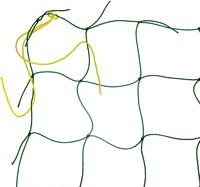Filet à mailles pour oiseaux de haute qualité HDPE Raschel sans nœuds filet anti-oiseaux Monofilament Agriculture PE filet à oiseaux