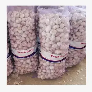 <span class=keywords><strong>Ajo</strong></span> Fresco Blanco Puro de Alta Calidad Chino, Saludable, Perfecto para Cocinar, en Bolsa de Malla para Venta en el Mercado - Product Image 1
