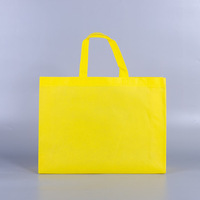 Sacolas De Tnt Personalizada Wenzhou Sac à provisions en tissu non tissé réutilisable Pp promotionnel