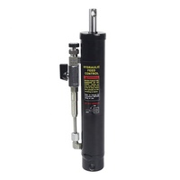 Band saw lifting hydraulic cylinder
