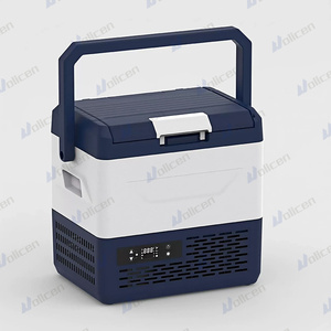 Portable 45W camion congélateur 12V/24V Mini véhicule réfrigérateur universel petite voiture réfrigérateurs 12L/15L ABS compresseur réfrigération - Product Image 2