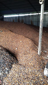 CHAUD! COQUE DE NOIX DE CAJOU RISIDUE À PRIX COMPÉTITIF ET DE HAUTE QUALITÉ DU VIETNAM 2023_EXPORT STANDARD - Product Image 3