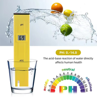 pH-mètre numérique portable Wanbang Industrial, précision 0,1 pH, écran LCD, garantie 1 an, personnalisable ODM/OEM, pour l'eau potable