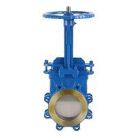 Xintai OEM ODM 150LB 6 pouces WCB acier moulé API volant concentré couteau vanne
