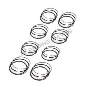 BMW 4.8 550i 650i 750i 750Li X5 E60 E61 E63 E64 E65 E66 E53 E70 N62 B48 04-10 4.8L V8 için N62B48 Motor Piston Segman Seti STD - Product Image 3