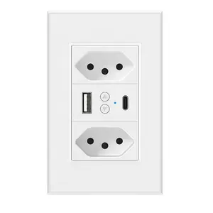 Brazil Market USB TYPE C Charger Port Zigbee Smart Socket Double Smart Wall Outlet Electrical Smart Outlet