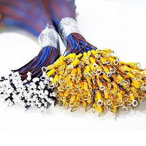 맞춤형 전자 배선 하니스 솔루션을 위한 링 터미널 Molex 2 핀 커넥터 - Product Image 4