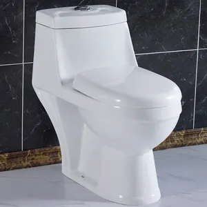 Desain Baru Saudi Arabia Keramik Barang Sanitasi Kamar Mandi Dual Flush Toilet Keramik Satu Buah Inodoro Toilet