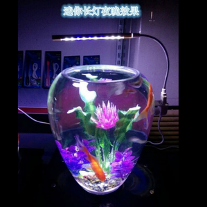 Mini Magical Design <strong>Aquarium</strong> Tank Fish <strong>Glass</strong> - Product Image 3