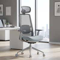 Chaise de bureau ergonomique moderne de style minimaliste, avec dossier en maille, réglage de la hauteur par vérin à gaz, accoudoirs et appuie-tête réglables, en aluminium