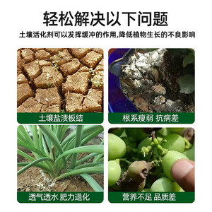1000g - Product Image 4