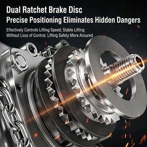 Paranco a leva in acciaio inossidabile con 2 catene e diametro di 10 mm, 6T - Product Image 5
