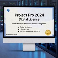 전문 프로젝트 기획 소프트웨어 2024 프로 - 글로벌 디지털 라이선스 키, 계정 연계, PC용 평생 이용