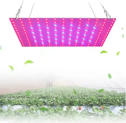 Grow LED แผงไฟพืชดอกไม้โคมไฟ Hydroponic ปลูกกล่อง EU US UK ปลั๊กในร่มคุณภาพสูง 20W 40W พร้อม AC110V 220V