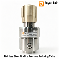 Bayou-Lok 316L Edelstahl Gasdruckminderer 500 PSI Membranregler 0-250 PSI Gewindeanschluss für Rohrleitungen
