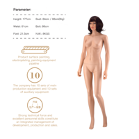 Mannequin fille en vente chaude, couleur chair, pour vitrine